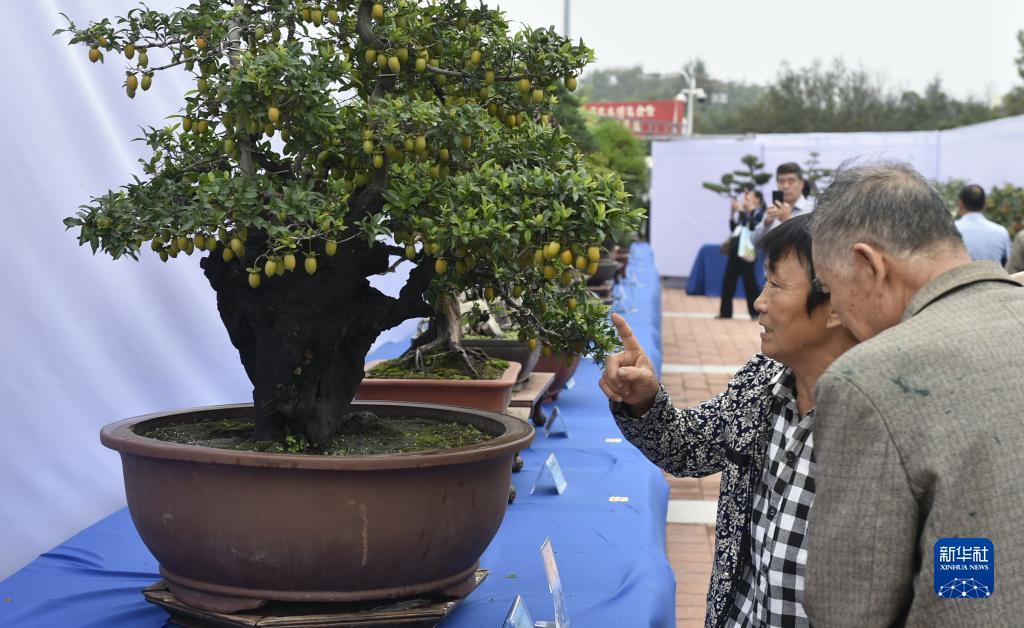 红宝石网站